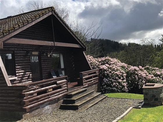 Ferguson Log Cabin