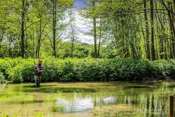 Chalkstream