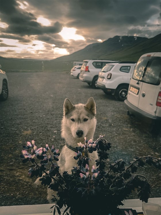 Long Valley Lodge visitor