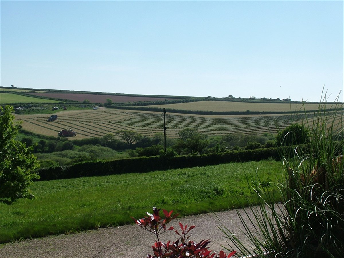 La vue