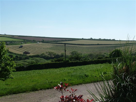 La vue