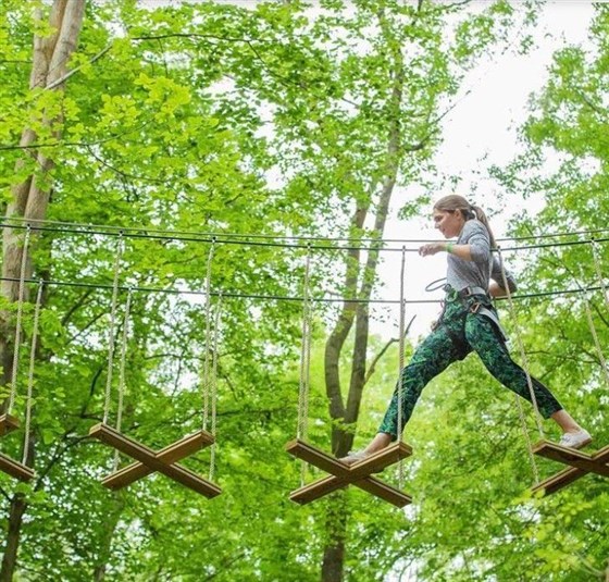 Go Ape