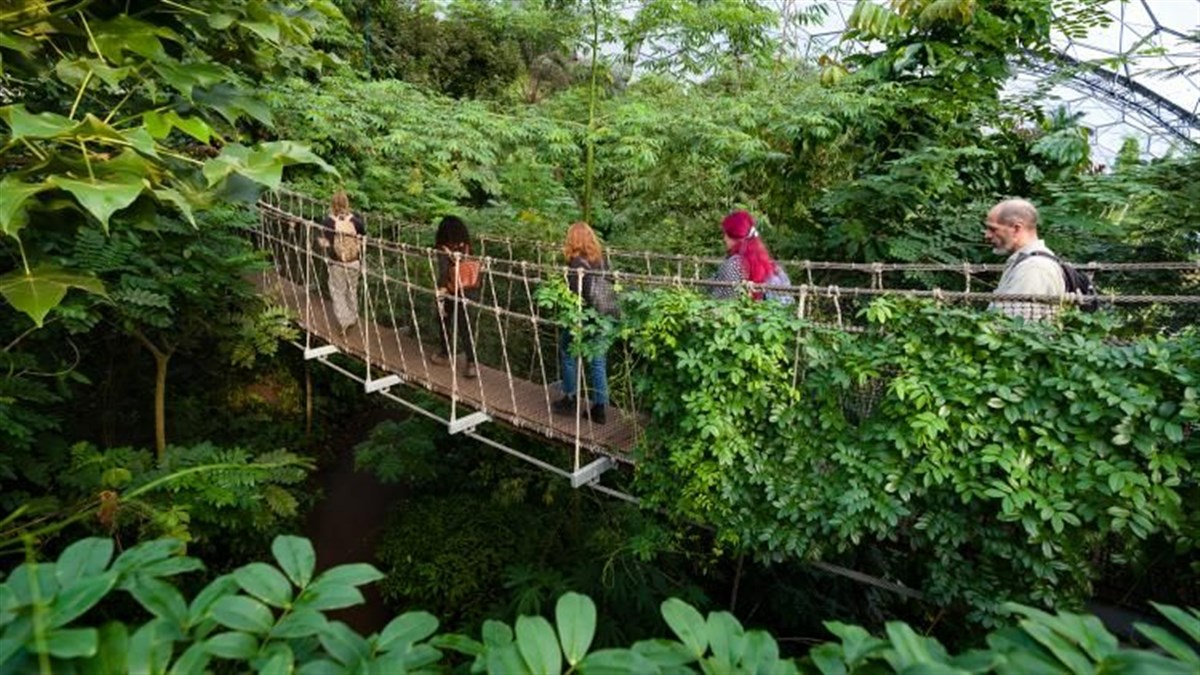 The Eden Project