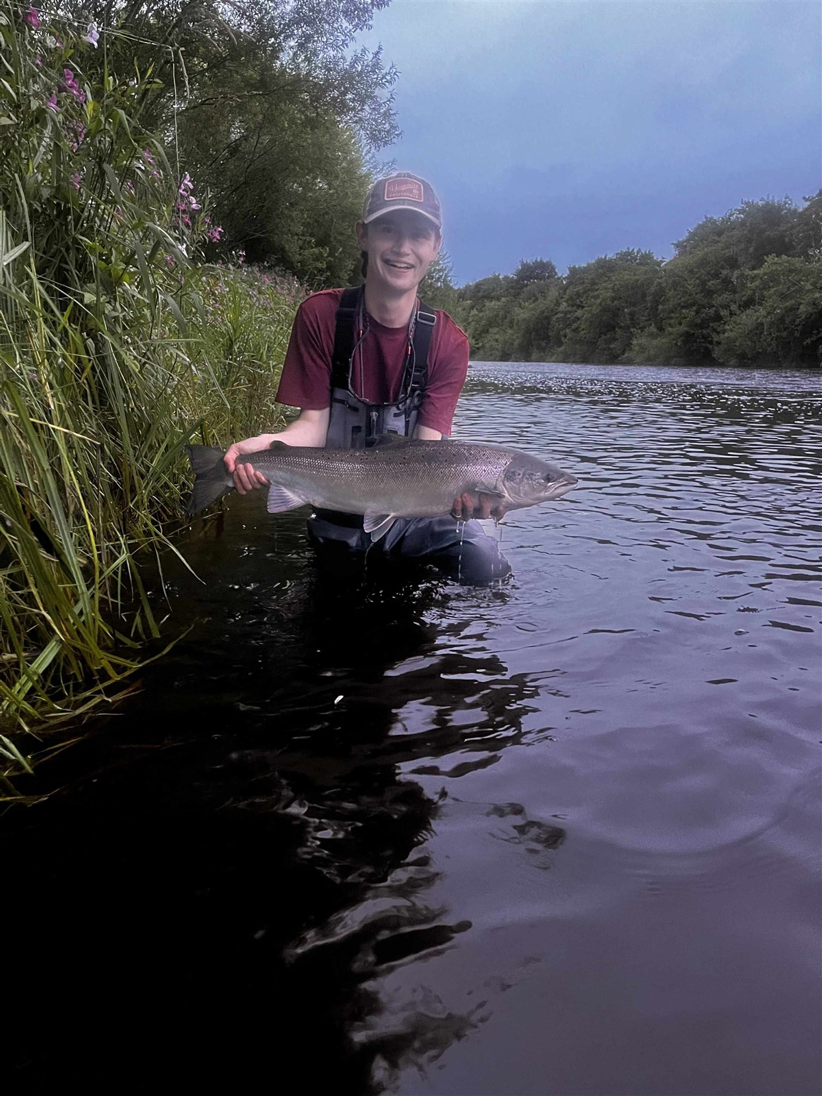 A late spring salmon