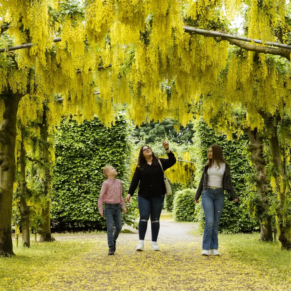 Photograph of a family inside Temple Newsam house