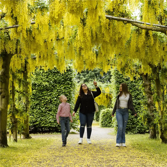 Photograph of a family inside Temple Newsam house