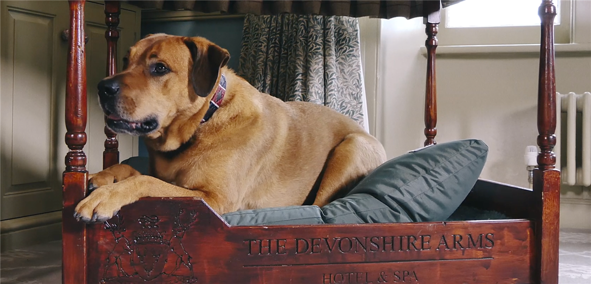 Dog friendly hotel in the Yorkshire Dales