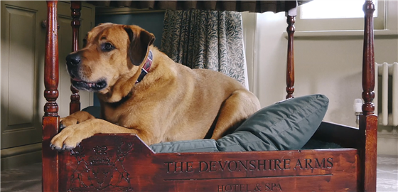 Dog friendly hotel in the Yorkshire Dales