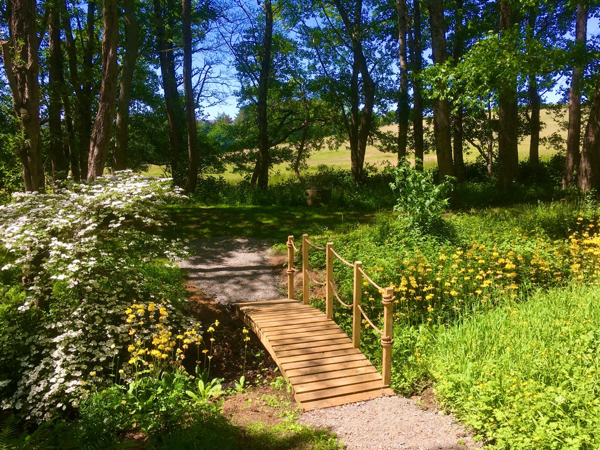 Stone Lane Gardens