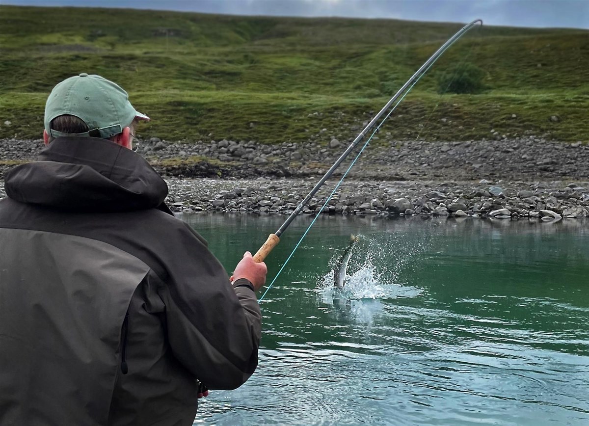 Playing A Jokla Salmon
