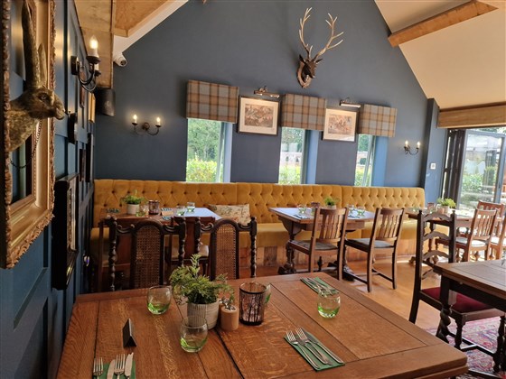 The Duke Interior