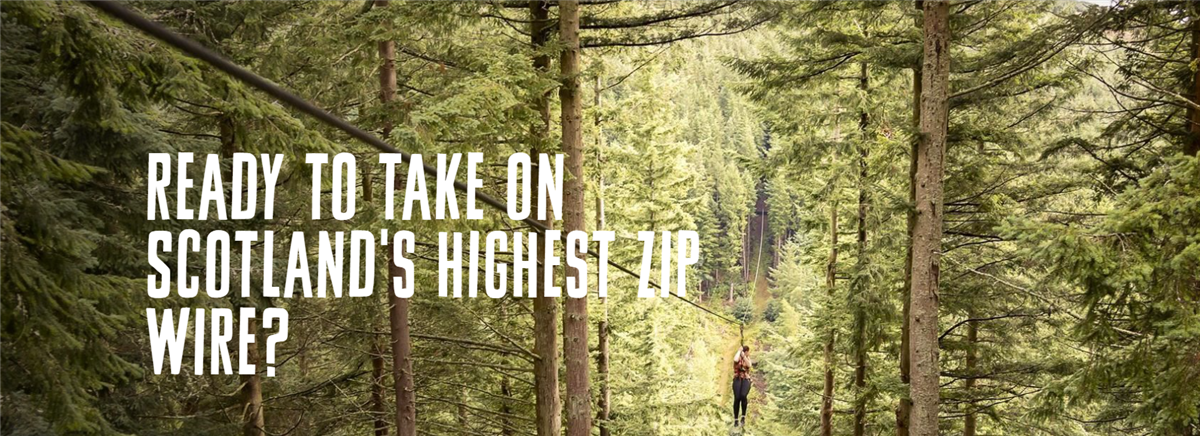 Go Ape