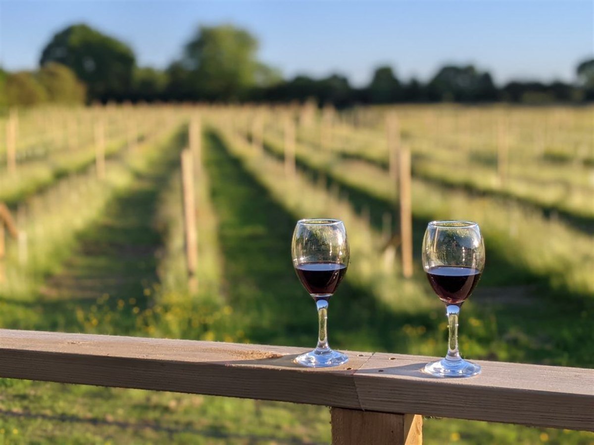 Wolds Wine Estate