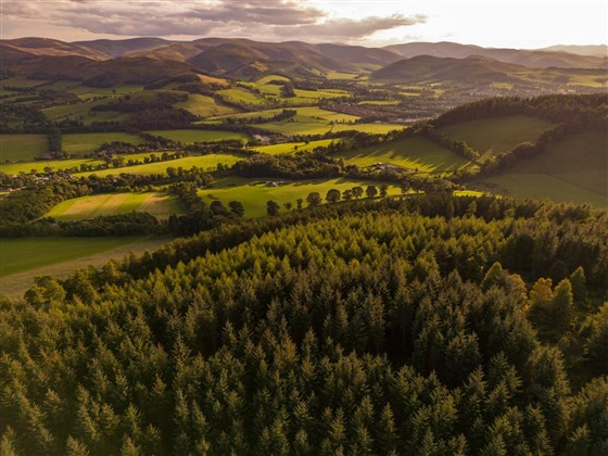 Forest Holidays, Glentress Forest