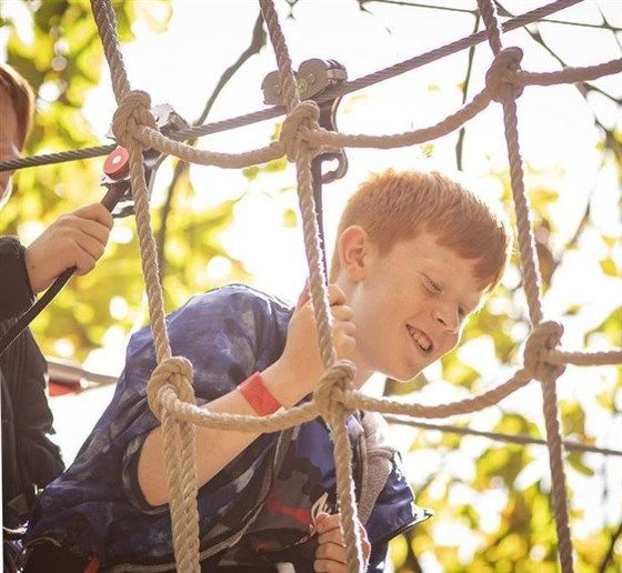 Go Ape
