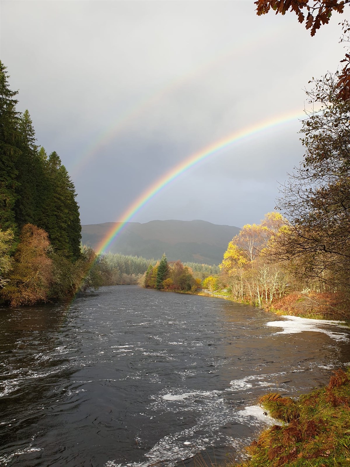 Pot of gold 