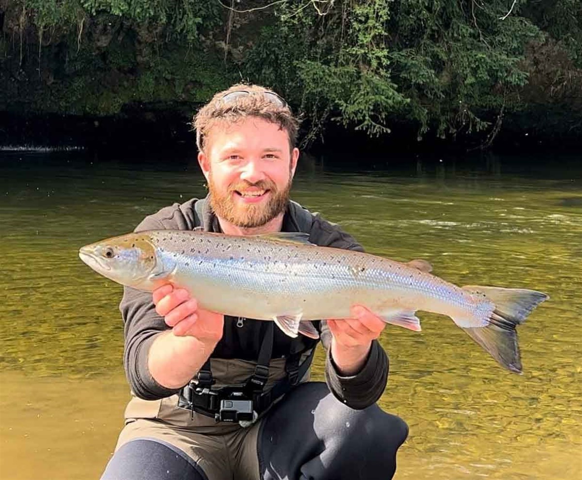 Grilse in the sun!