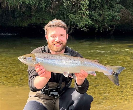 Grilse in the sun!