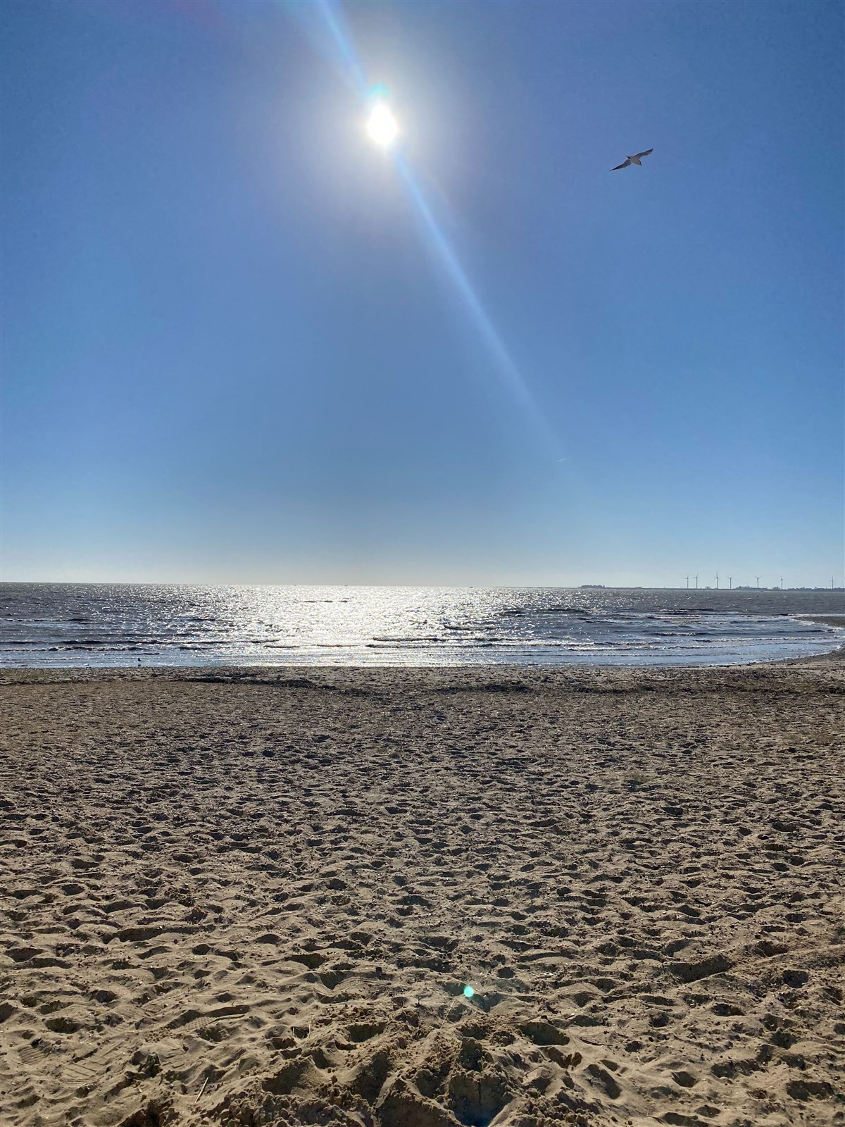 View at 11am in March