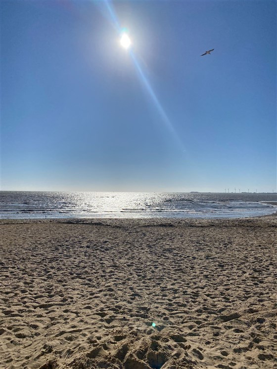 View at 11am in March