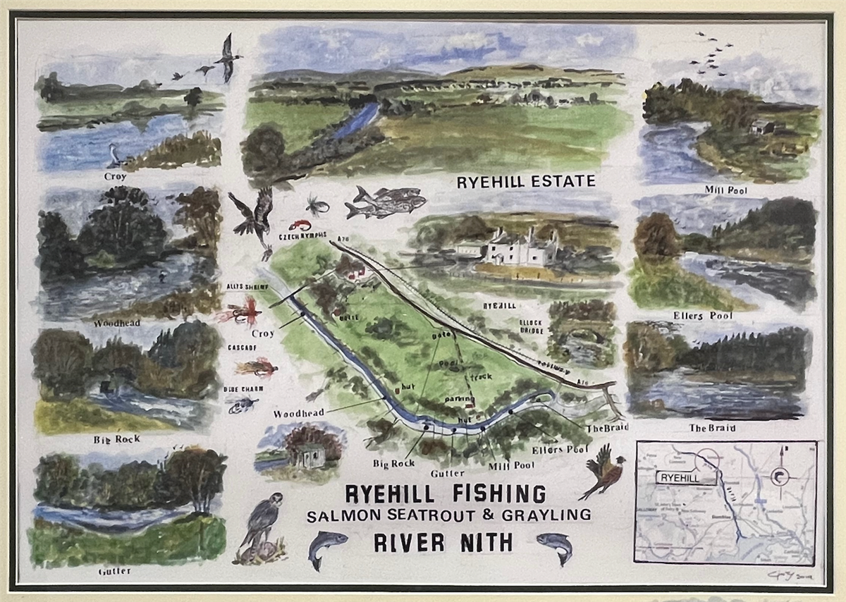 Ryehill Estate drawn by Ginty Bewick
