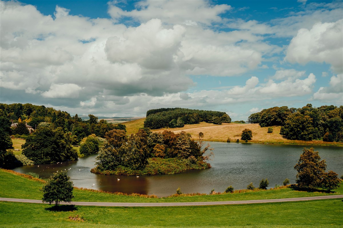 Grounds
