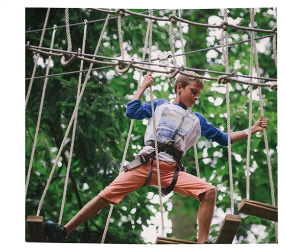 Go Ape