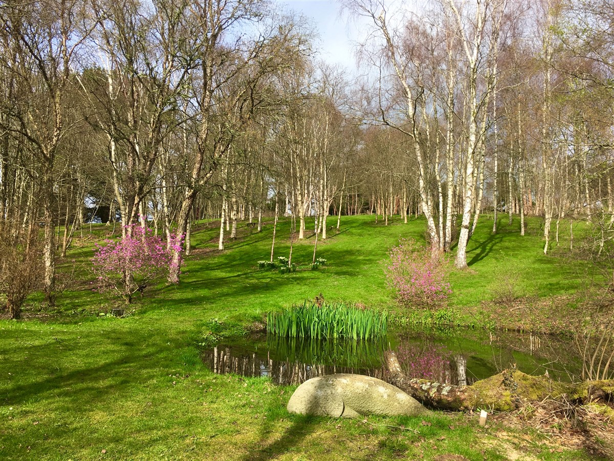 Stone Lane Gardens