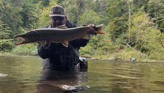 A hefty autumn salmon