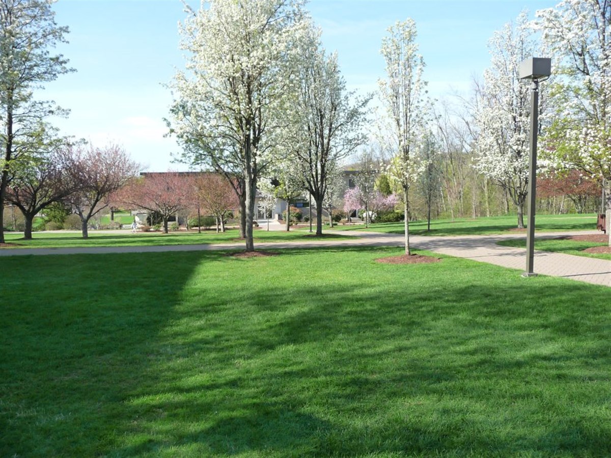 Área Quad de Ex-alunos