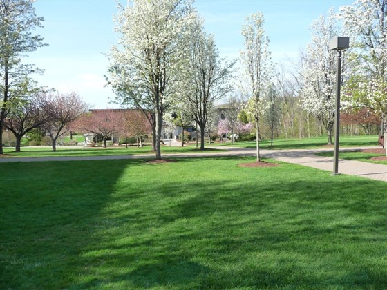 Área Quad de Ex-alunos
