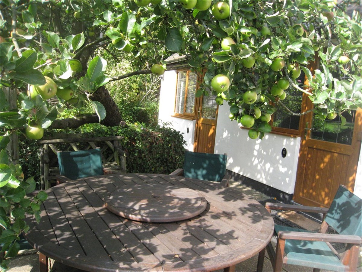 Terrasse extérieure