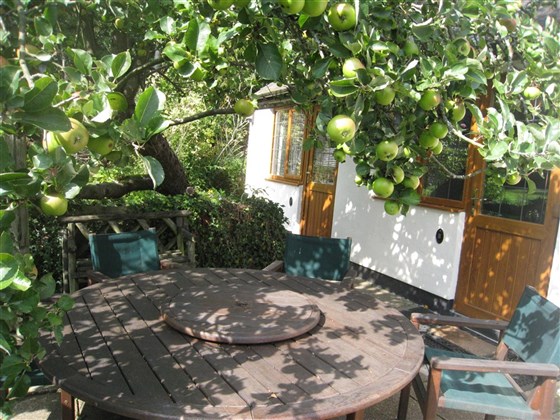 Terrasse extérieure
