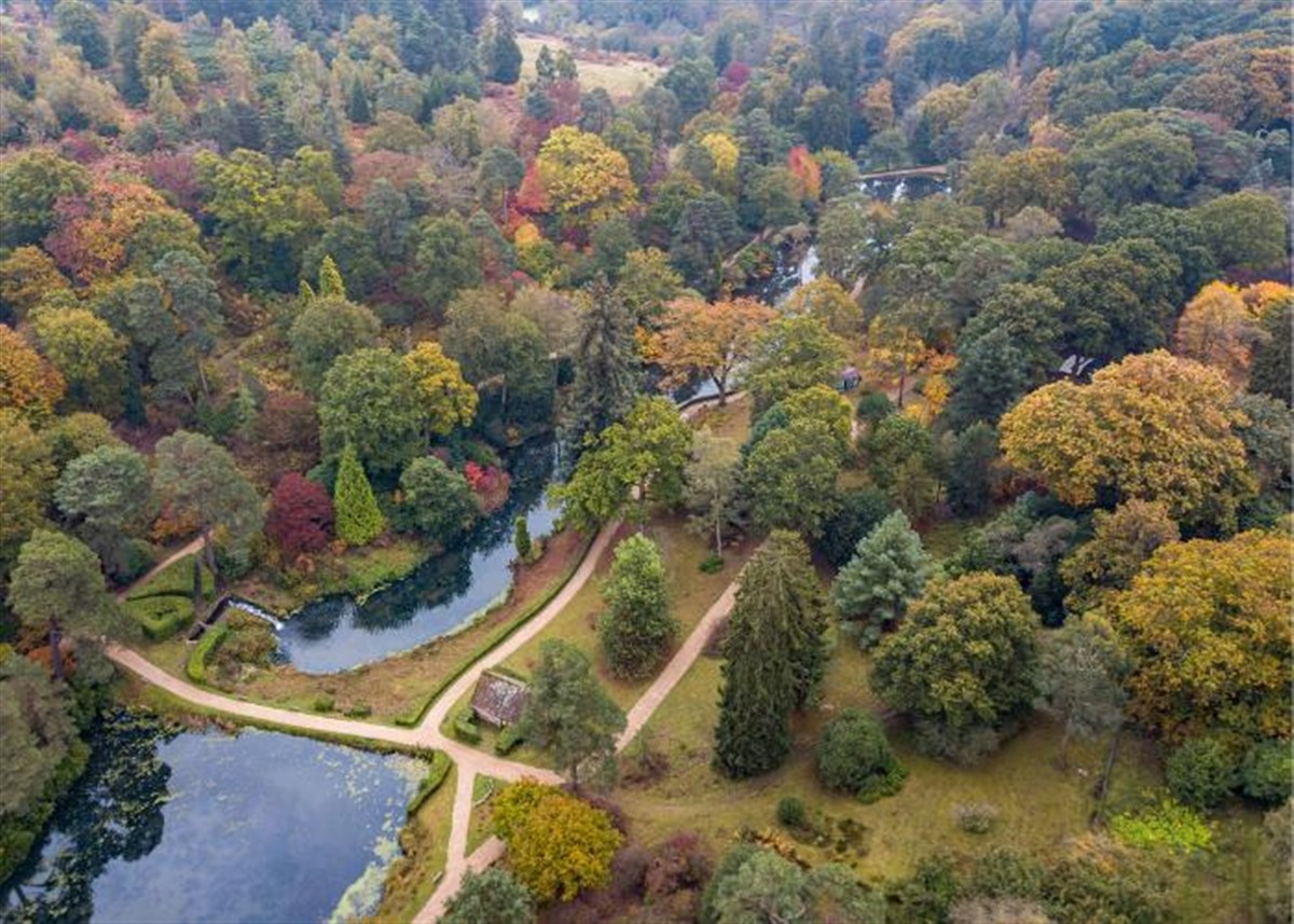 Drone image taken in autumn