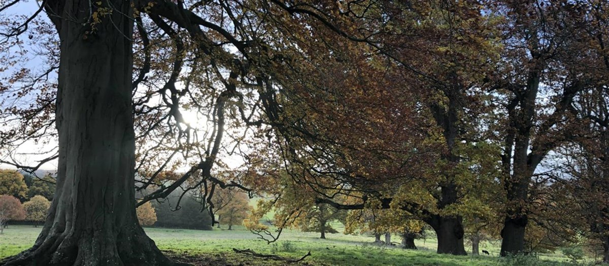 Buscot Park, Oxfordshire