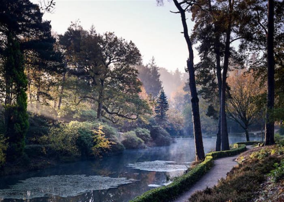 Autumn path