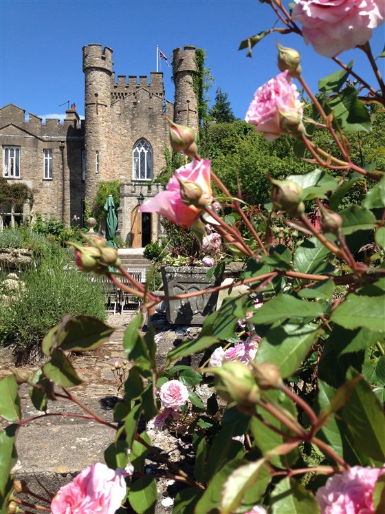 Roses at Augill Castle