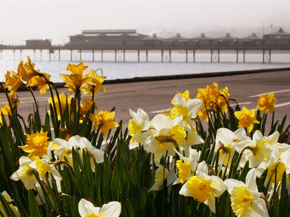 Paignton Pier