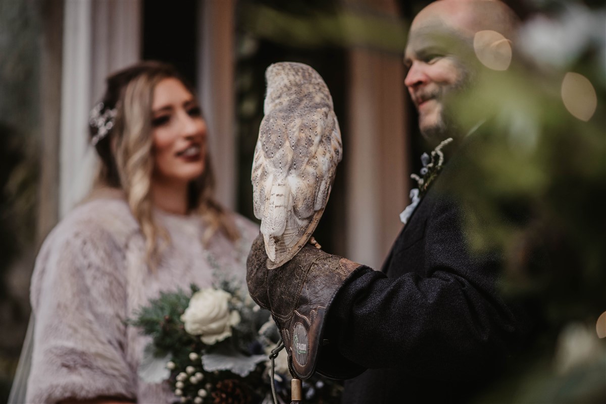 Owl ring delivery