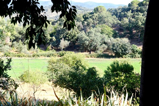 Vistas al valle