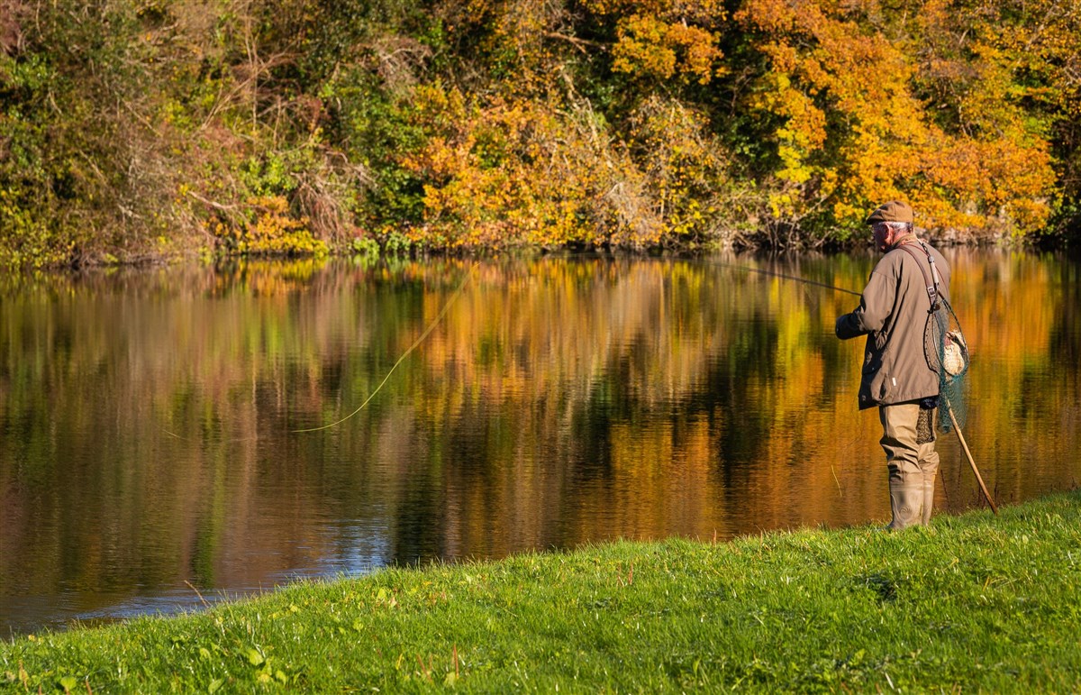 Lovely autumnal light