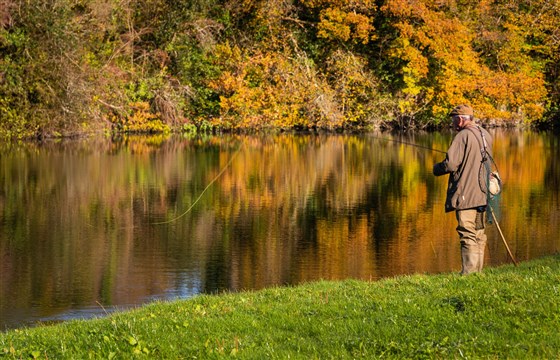 Lovely autumnal light