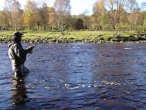 Lambley Estate