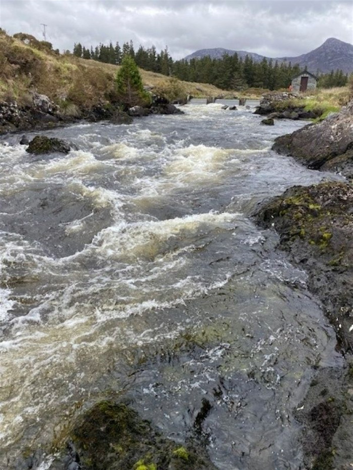 Rapids