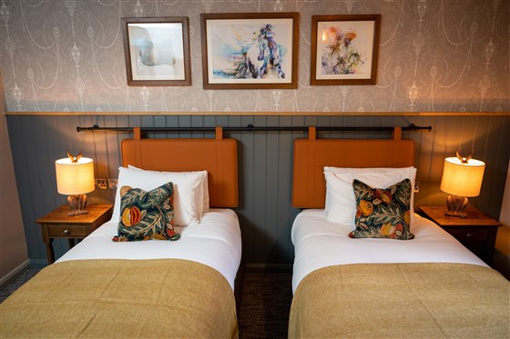 Twin Bedroom