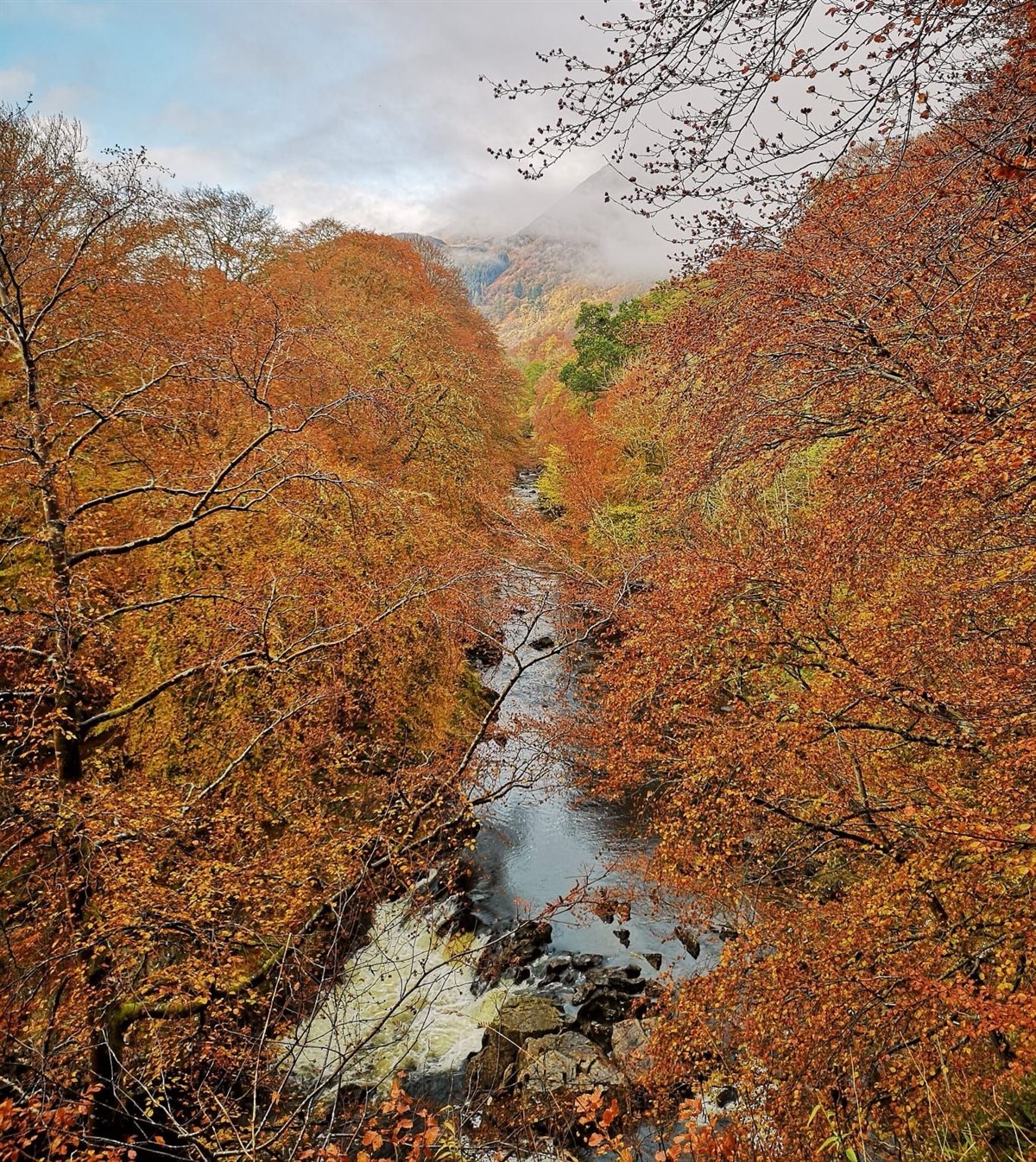 Paso de Lyon en otoño