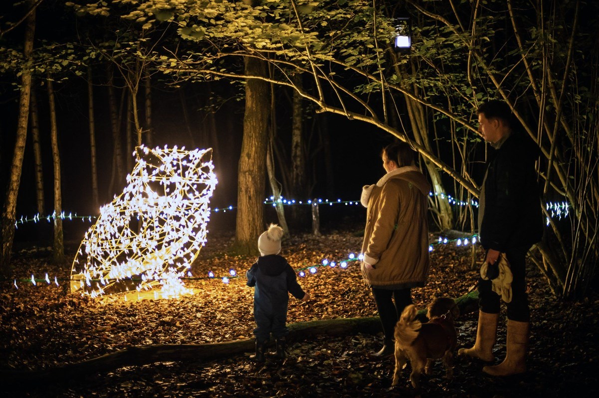 Forest Holidays, Glentress Forest