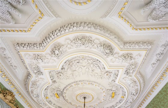 Exquisite plasterwork ceilings