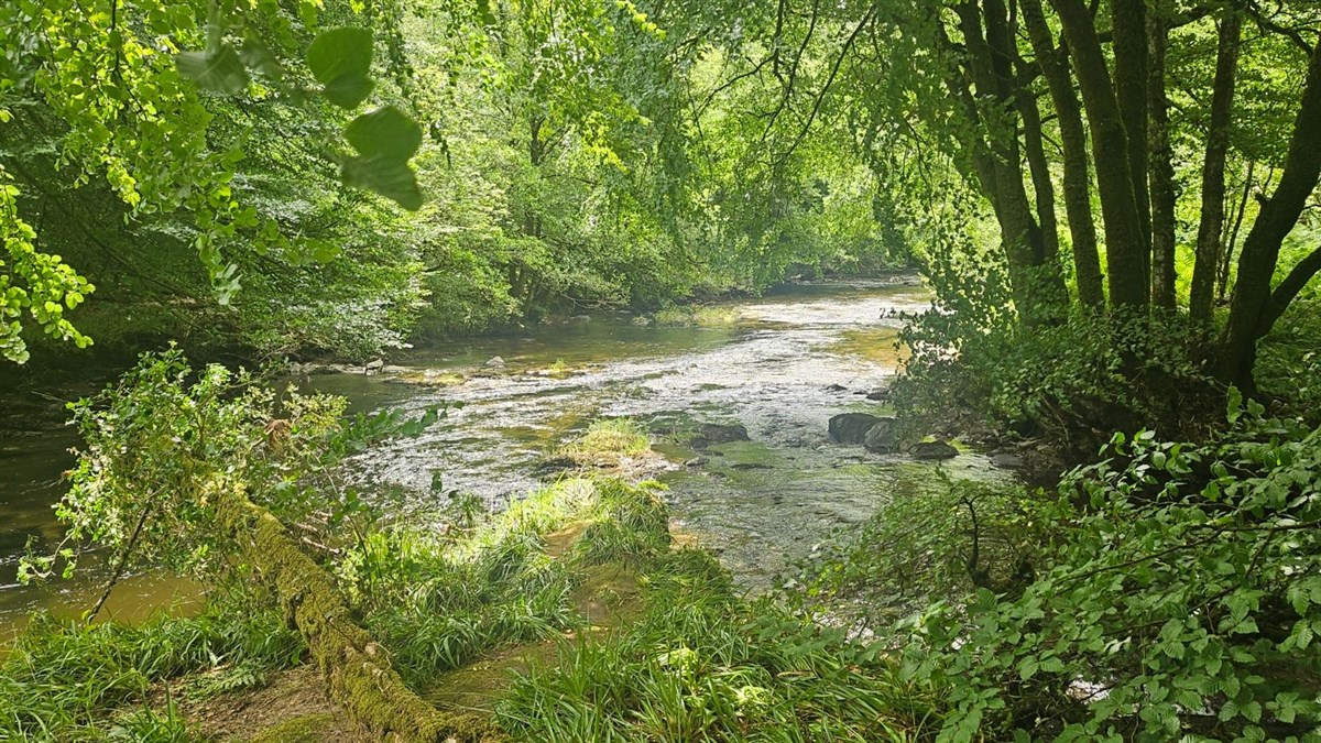 Junction Pool