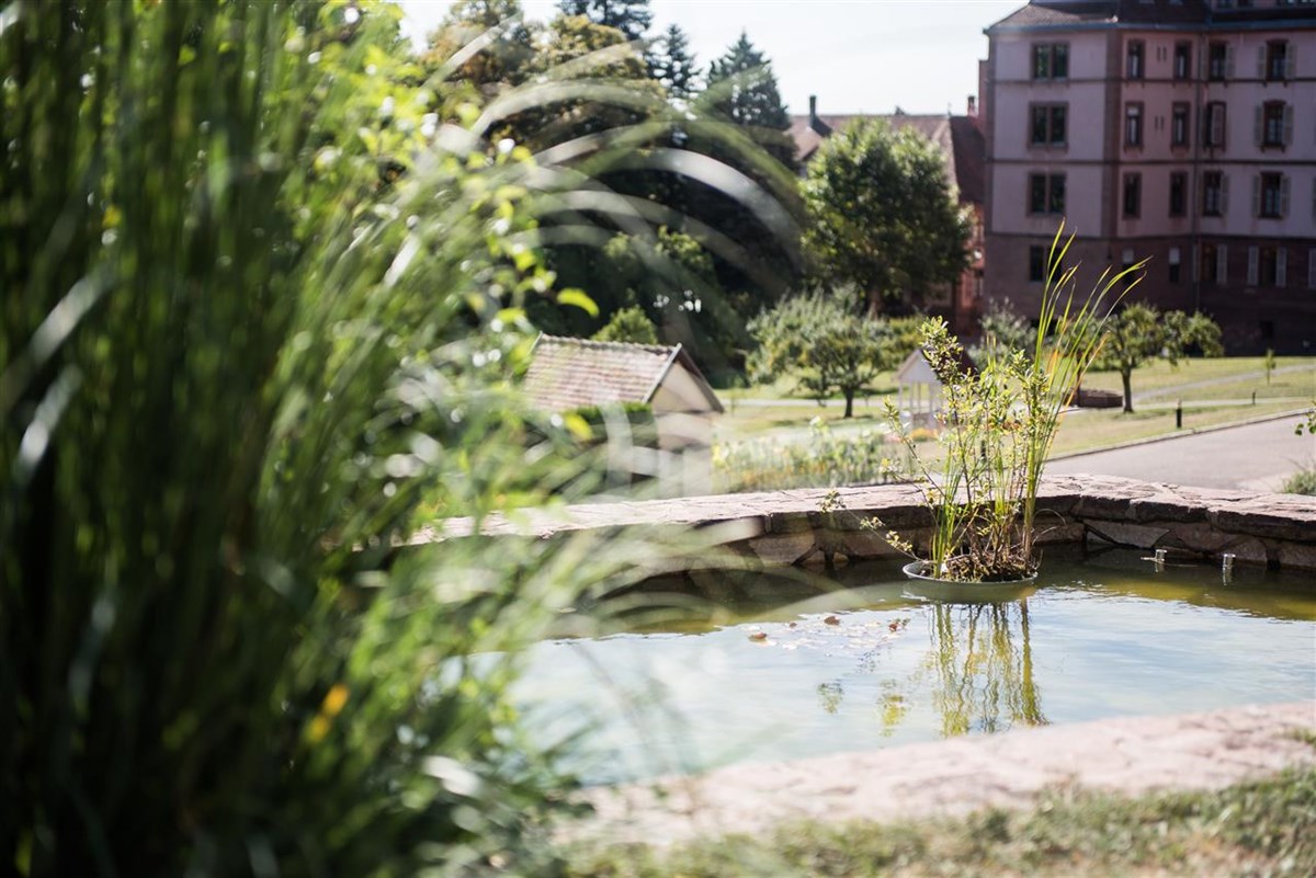 Vue depuis Jardin